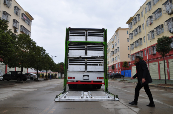 雛禽運輸車，恒溫運豬車，豬苗運輸車，小豬仔運輸車