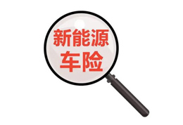 有錢能(néng)使鬼推磨？新能(néng)源車買保險不一定